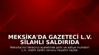 Meksika'da Gazeteci L.V. Silahlı Saldırıda Hayatını Kaybetti