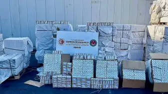 Mersin Limanı'nda Pakistan'dan Gelen Konteynerde 12 Milyon 400 Bin Kapsül İlaç Ele Geçirildi