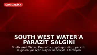South West Water'a Parazit Salgını Nedeniyle 1.8 Milyon Sterlin Ceza