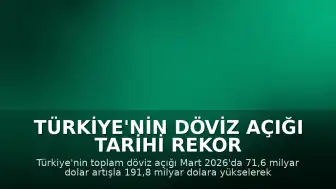 Türkiye'nin Döviz Açığı Tarihi Rekor Kırdı: 191,8 Milyar Dolara Ulaştı