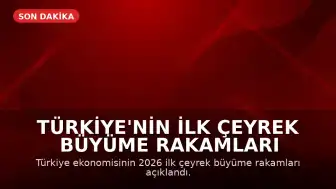 Türkiye'nin İlk Çeyrek Büyüme Rakamları Açıklandı: Bilgi ve İletişim Sektörü Öne Çıktı