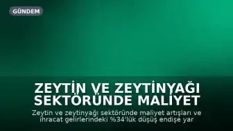 Zeytin ve Zeytinyağı Sektöründe Maliyet ve İhracat Kaygısı: Üretici Destek Bekliyor