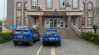 Zonguldak'ta evde kenevir yetiştirme operasyonu: 2 gözaltı