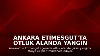 Ankara Etimesgut'ta otluk alanda yangın çıktı