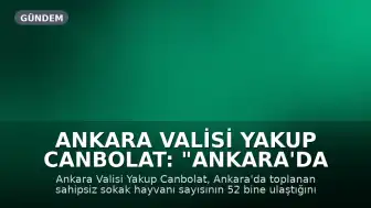 Ankara Valisi Yakup Canbolat: "Ankara'da toplanan sahipsiz sokak hayvanı sayısı 52 bine ulaştı"