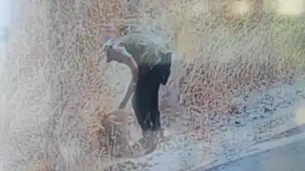 Ankara'da Ot Yangını Kundaklama Çıktı