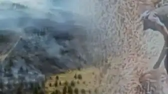 Ankara'da Otluk Alanda Çıkan Yangının Kundaklama Olduğu Belirlendi
