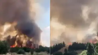 Ankara'da Otluk Alanda Yangın Söndürüldü