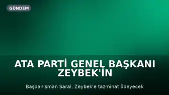 ATA Parti Genel Başkanı Zeybek'in Açtığı Davada Karar: Cumhurbaşkanı Başdanışmanı Saral Tazminat Ödeyecek