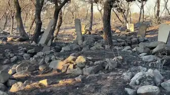 Ayvalık'ta Orman Yangını Mezarlığa Sıçradı: Tıfıllar Köyü Tahliye Edildi