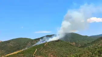 Balıkesir Burhaniye'de Orman Yangını Kontrol Altına Alındı