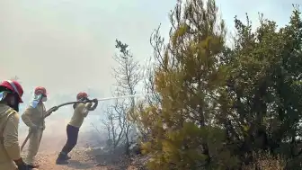 Balıkesir Gömeç'te Orman Yangınına Havadan ve Karadan Müdahale Sürüyor