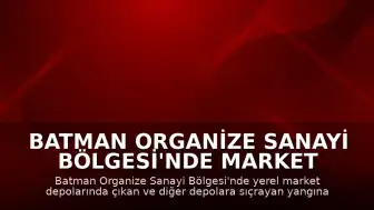 Batman Organize Sanayi Bölgesi'nde market depolarında yangın