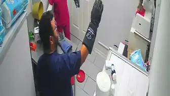 Bursa Orhangazi'de Veteriner Kliniğinde Sıra Dışı Olay: Sokak Kedisi Panik Yarattı