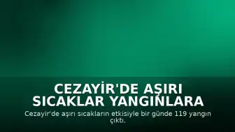 Cezayir'de Aşırı Sıcaklar Yangınlara Yol Açtı: 119 Yangından 114'ü Söndürüldü