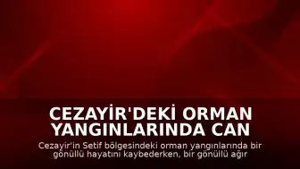 Cezayir'deki Orman Yangınlarında Can Kaybı ve Yaralanma Bildirildi