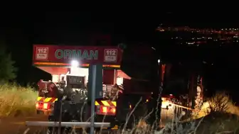 Denizli Pamukkale'de Orman Yangını: Rüzgarın Etkisiyle Alevler Yeniden Yükseldi