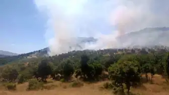 Diyarbakır Çüngüş'te ağaçlık alanda yangın çıktı