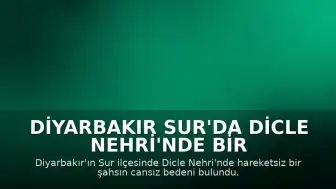 Diyarbakır Sur'da Dicle Nehri'nde Bir Kişinin Cansız Bedeni Bulundu