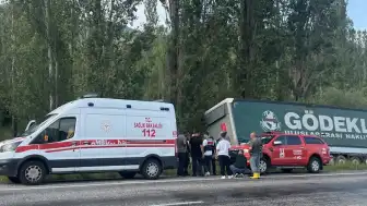 Erzurum'da tırın ağaçlara çarpması sonucu sürücü yaşamını yitirdi