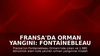 Fransa'da Orman Yangını: Fontainebleau Ormanı'nda Bin 980 Dönüm Alan Kül Oldu