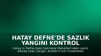 Hatay Defne'de sazlık yangını kontrol altına alındı