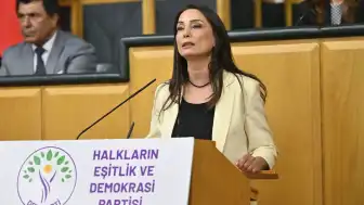 Hatimoğulları'ndan Çerçeve Yasa Açıklaması: 'Son İmralı Ziyaretindeki Mutabakat Yasaya Yansımalı'