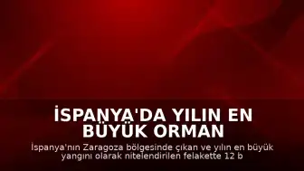 İspanya'da Yılın En Büyük Orman Yangını: 12 Bin Hektarlık Alan Tahrip Oldu