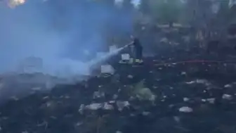 Isparta'da Arı Kovanlarının Yanmasıyla Çıkan Yangında İtfaiye Ekiplerine Arı Saldırısı
