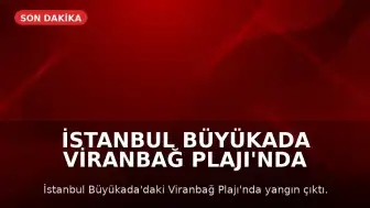 İstanbul Büyükada Viranbağ Plajı'nda Yangın Çıktı