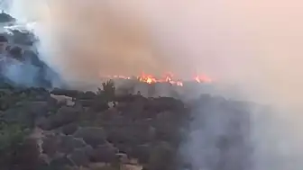 İzmir Bornova'da Orman Yangını Kontrol Altına Alındı