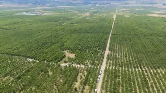 Kadışehri'nde Sınırların Kaldırılmasıyla Üretim 30 Kat Arttı