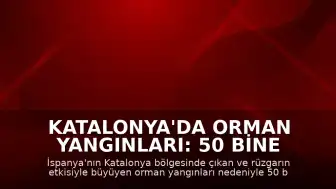Katalonya'da Orman Yangınları: 50 Bine Yakın Kişi Tahliye Edildi