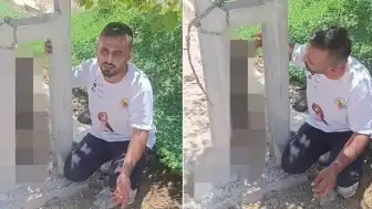 Kırıkhan'da Köpek Zehirlenerek Elektrik Direğine Asıldı