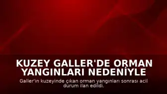 Kuzey Galler'de Orman Yangınları Nedeniyle Acil Durum İlan Edildi