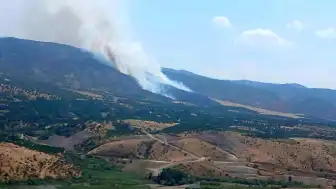 Malatya Pütürge'de Orman Yangını Çıktı