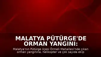 Malatya Pütürge'de Orman Yangını: Ekiplerin Müdahalesi Sürüyor