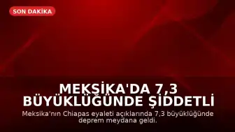 Meksika'da 7,3 Büyüklüğünde Şiddetli Deprem: Tsunami Uyarısı Yapıldı