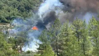 Muğla Göcek'te Orman Yangını: Ekiplerin Müdahalesi Sürüyor