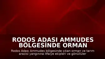 Rodos Adası Ammudes Bölgesinde Orman Yangını Meydana Geldi