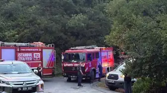 Sarıyer'de Orman Yangını: Müdahale Sırasında Bir İtfaiye Eri Yaralandı