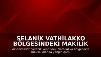 Selanik Vathilakko Bölgesindeki Makilik Alanda Yangın Başladı