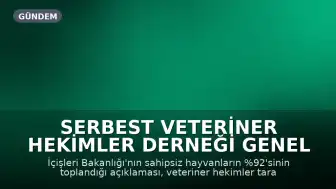 Serbest Veteriner Hekimler Derneği Genel Başkanı Bilsay Kanat: "Bize kaç hayvan toplandığını değil, kaçının yaşatıldığını söyleyin"