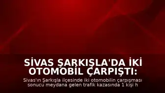 Sivas Şarkışla'da İki Otomobil Çarpıştı: 1 Ölü, 8 Yaralı