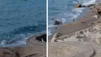 Zonguldak Filyos Sahili'nde Askeri Amaçlı Olduğu Düşünülen İHA Bulundu