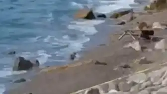 Zonguldak Filyos Sahili'nde Askeri İHA Bulundu: Geniş Güvenlik Önlemi Alındı