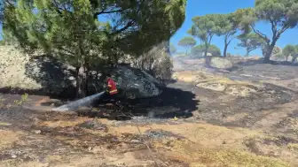 Muğla'da çıkan 10 yangından 7'si insan kaynaklı çıktı