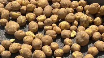 Nevşehir'de Patates Yüklü Tırın Dorsesinden Yola Dökülen Ürünler Trafiği Aksattı