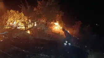 5 İlde Orman Yangınlarıyla Mücadele Edildi