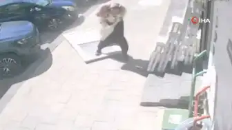 Karaman'da Kaldırımda Yürüyen K.ın Üzerine İş Merkezi Kapısı Düştü